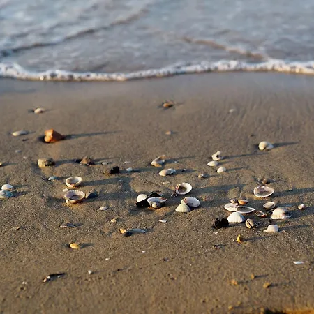 A Stones Throw From The Centre Bibione